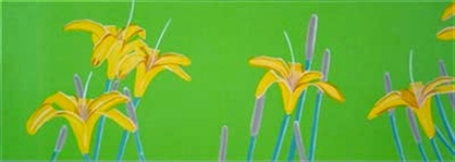 Katz day lilies flowers